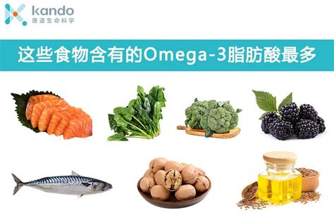 omega 3 脂肪酸的食物.